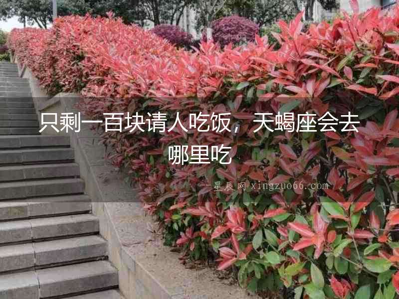 只剩一百塊請人吃飯，天蝎座會去哪里吃