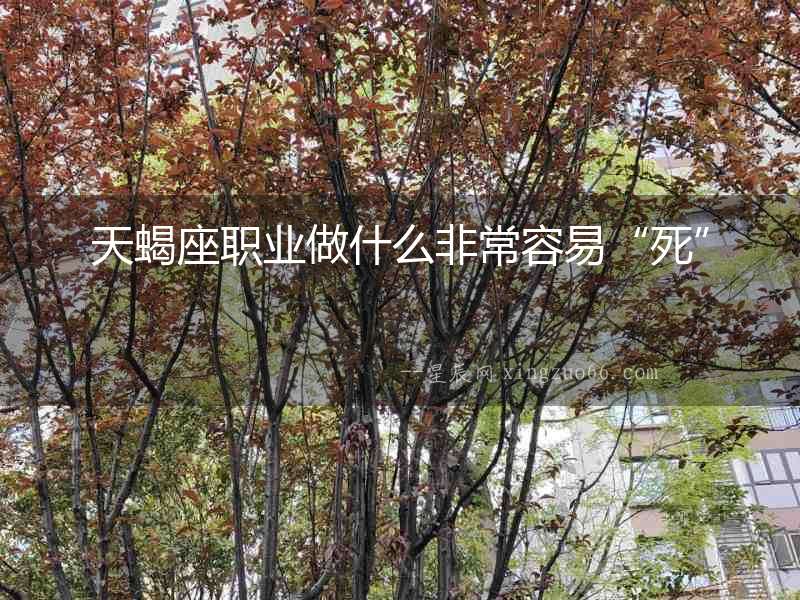 天蝎座職業做什么非常容易“死”
