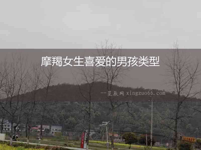 摩羯女生喜愛(ài)的男孩類型