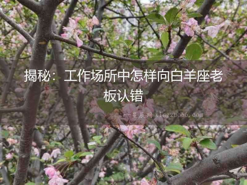 揭秘：工作場(chǎng)所中怎樣向白羊座老板認(rèn)錯(cuò)