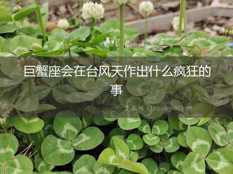 巨蟹座會在臺風天作出什么瘋狂的事