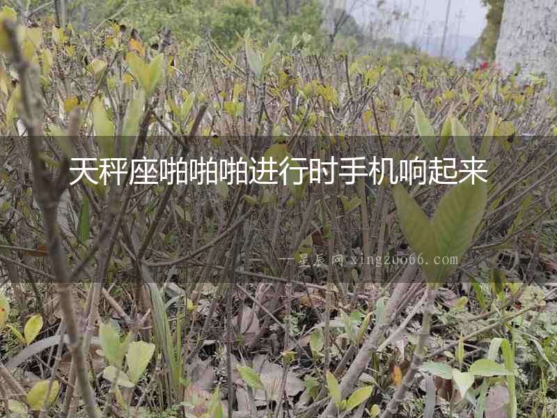 天秤座啪啪啪進行時手機響起來
