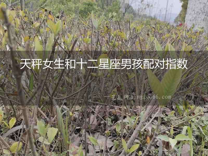 天秤女生和十二星座男孩配對指數