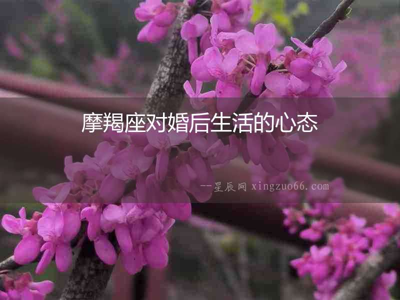 摩羯座對(duì)婚后生活的心態(tài)