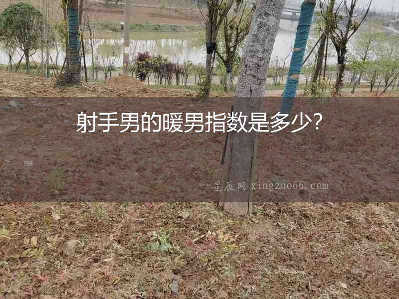 射手男的暖男指數是多少？