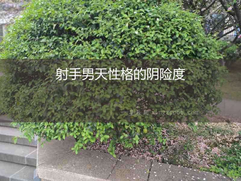 射手男天性格的陰險度