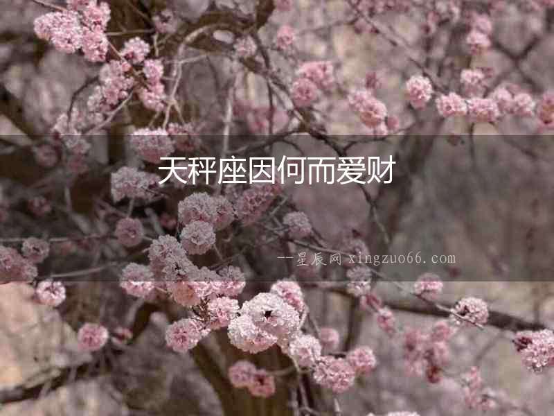 天秤座因何而愛財
