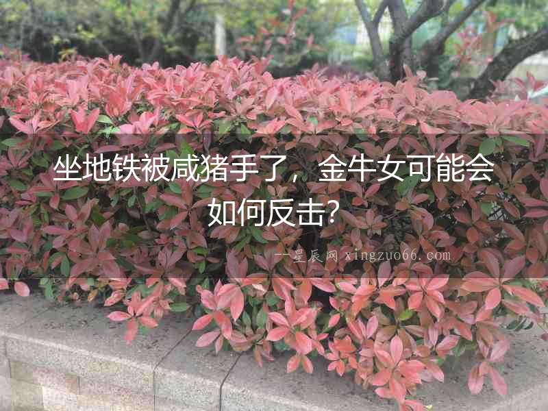 坐地鐵被咸豬手了，金牛女可能會(huì)如何反擊？