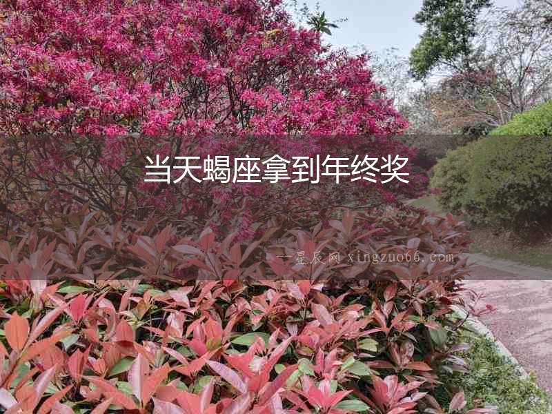 當(dāng)天蝎座拿到年終獎