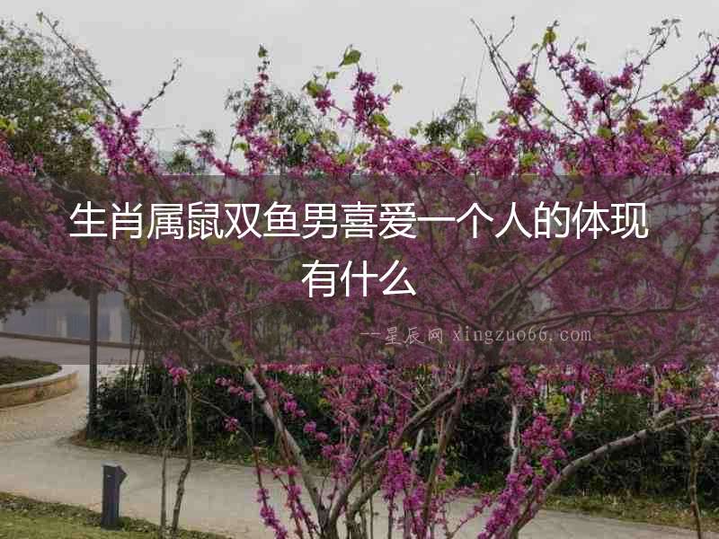 生肖屬鼠雙魚(yú)男喜愛(ài)一個(gè)人的體現(xiàn)有什么