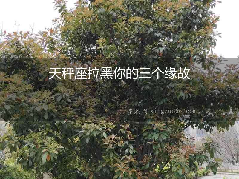 天秤座拉黑你的三個(gè)緣故