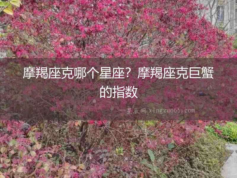摩羯座克哪個星座？摩羯座克巨蟹的指數(shù)