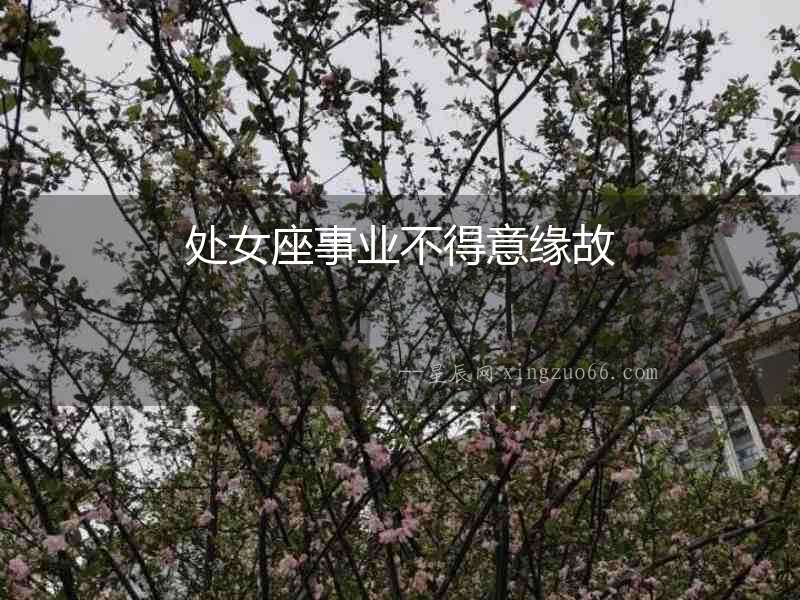 處女座事業(yè)不得意緣故