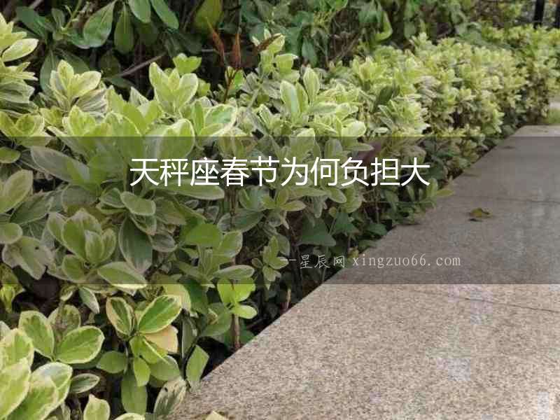 天秤座春節為何負擔大