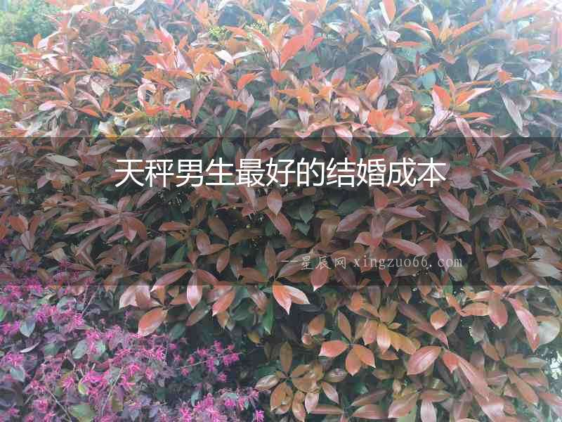 天秤男生最好的結(jié)婚成本