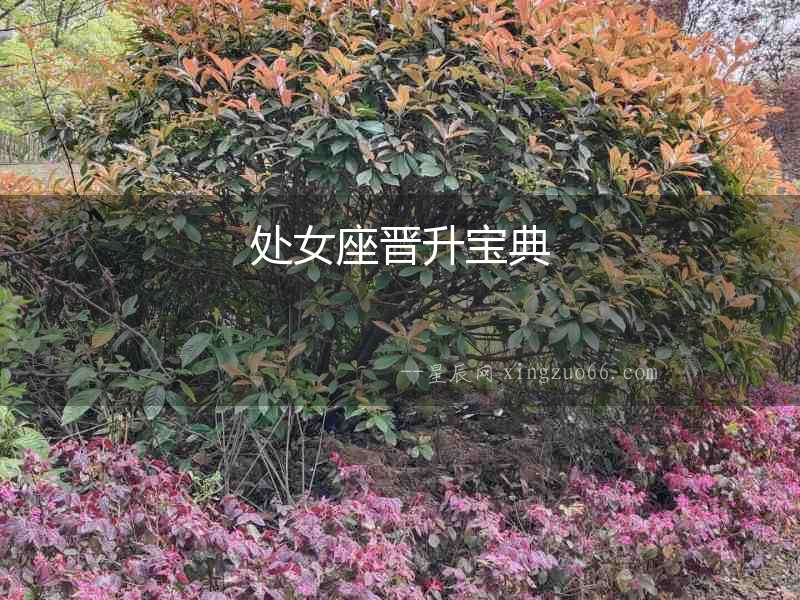 處女座晉升寶典