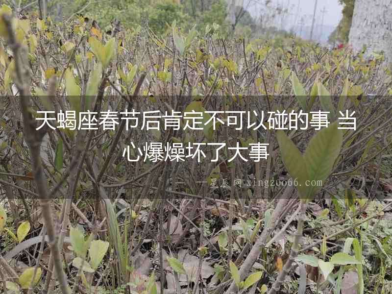 天蝎座春節(jié)后肯定不可以碰的事 當心爆燥壞了大事