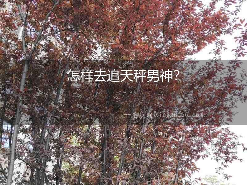 怎樣去追天秤男神？