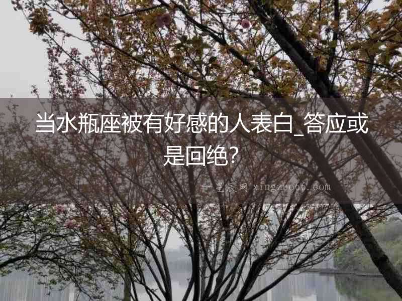 當水瓶座被有好感的人表白_答應或是回絕？