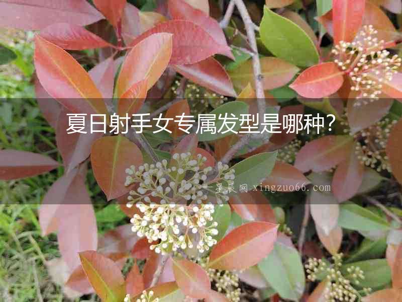 夏日射手女專屬發型是哪種？