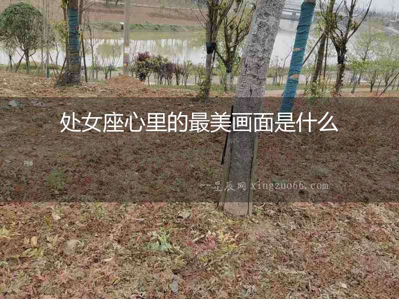 處女座心里的最美畫面是什么