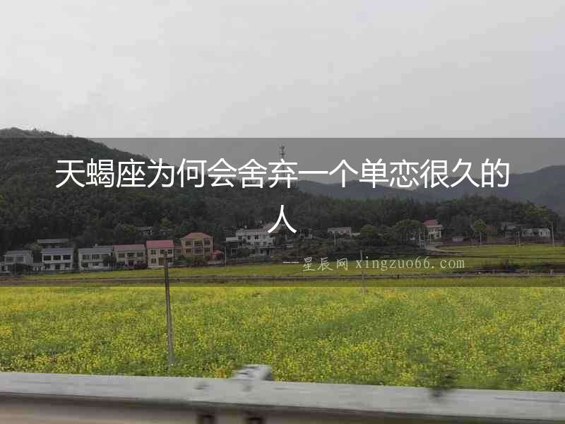 天蝎座為何會(huì)舍棄一個(gè)單戀很久的人