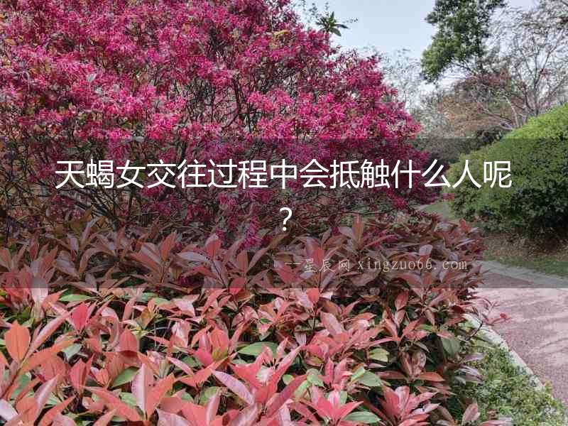 天蝎女交往過程中會抵觸什么人呢？