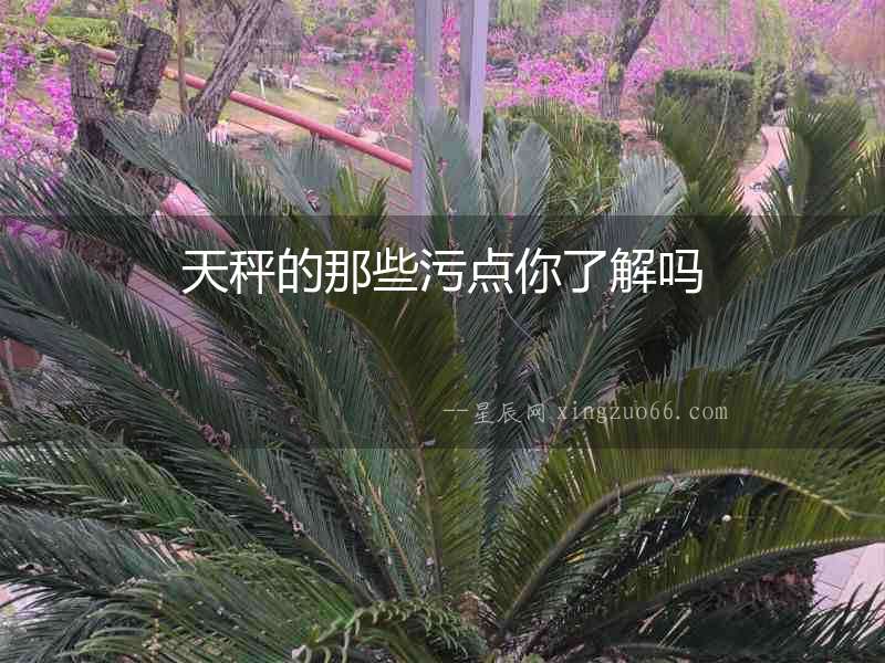 天秤的那些污點你了解嗎