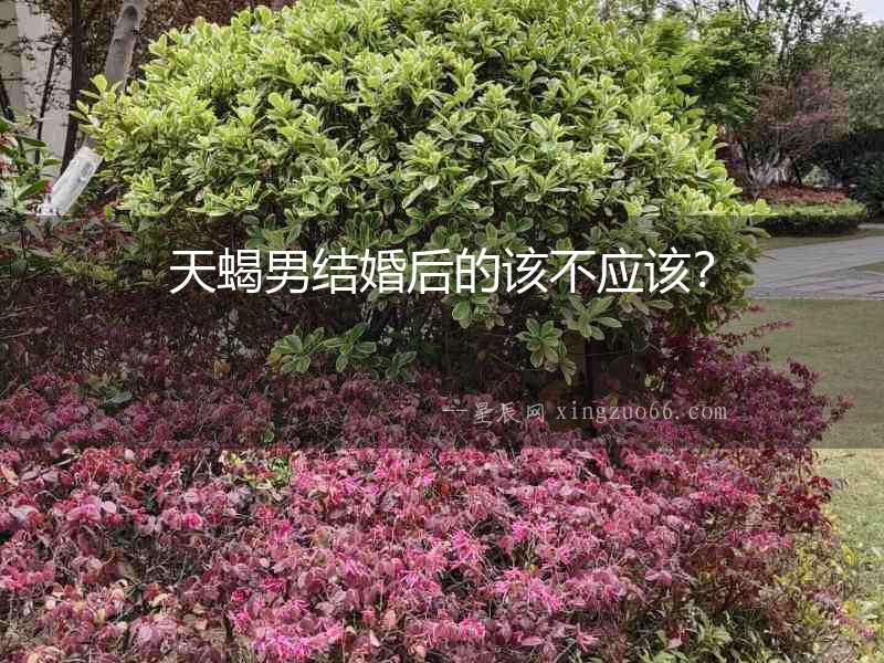 天蝎男結婚后的該不應該？