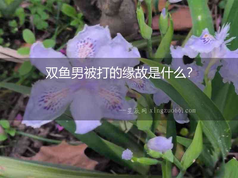 雙魚男被打的緣故是什么？