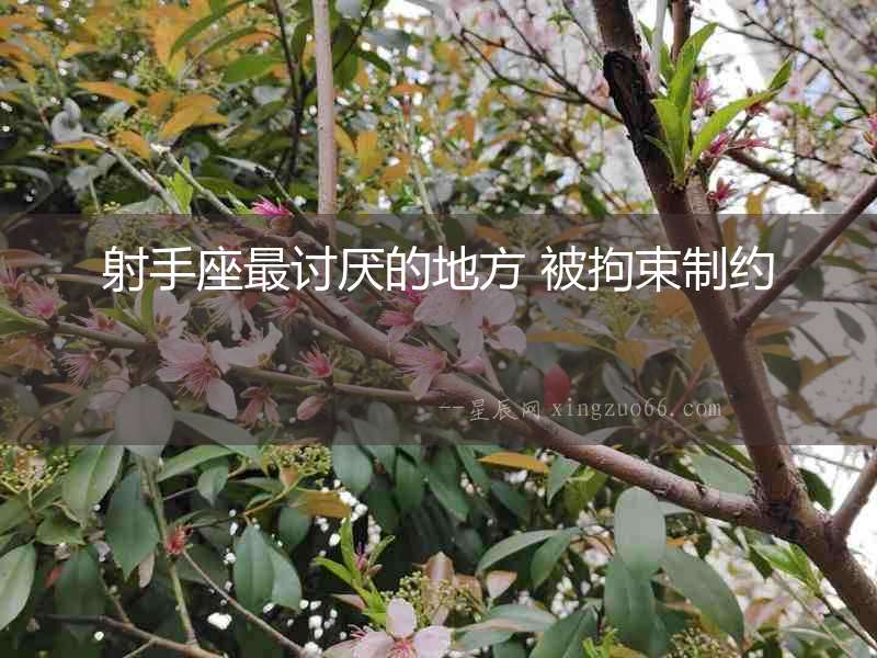 射手座最討厭的地方 被拘束制約