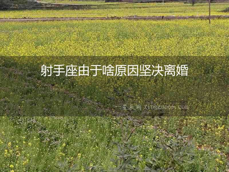 射手座由于啥原因堅決離婚