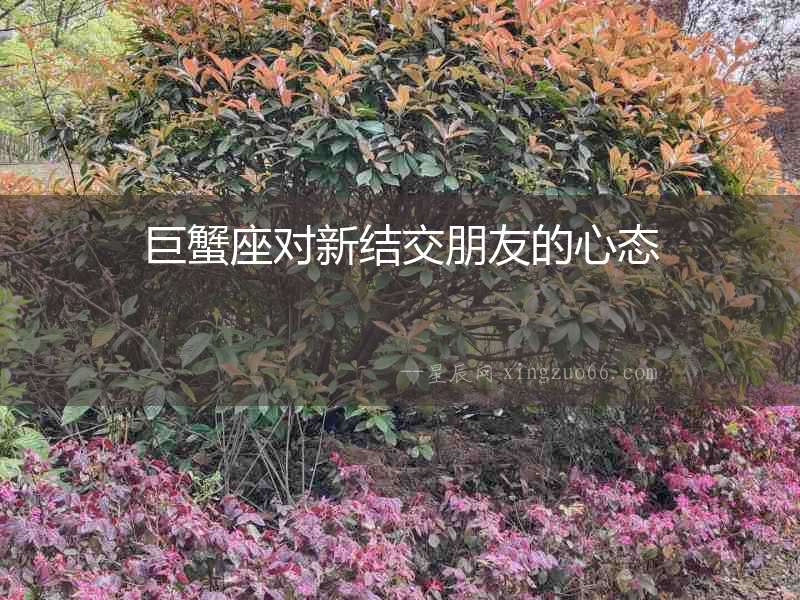 巨蟹座對新結(jié)交朋友的心態(tài)