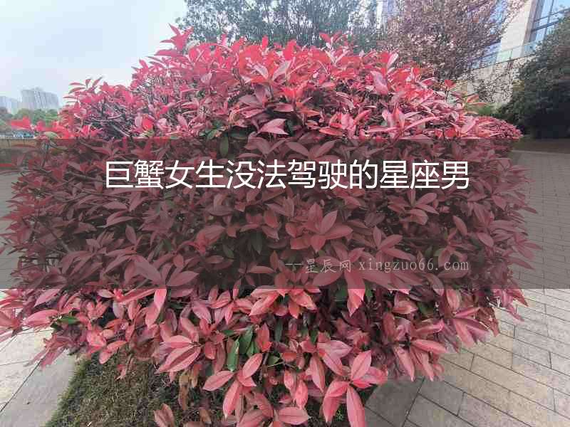巨蟹女生沒法駕駛的星座男
