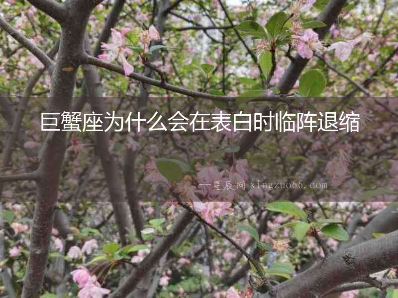 巨蟹座為什么會(huì)在表白時(shí)臨陣退縮