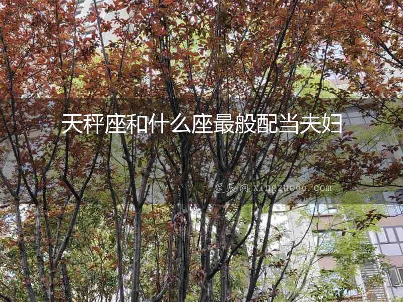 天秤座和什么座最般配當夫婦