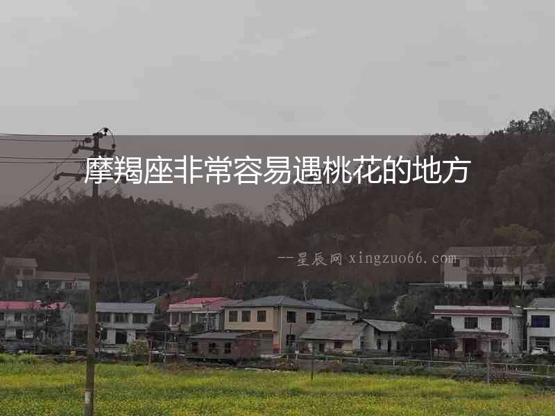摩羯座非常容易遇桃花的地方