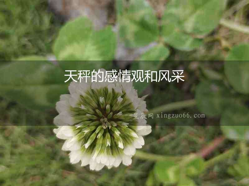 天秤的感情觀和風采