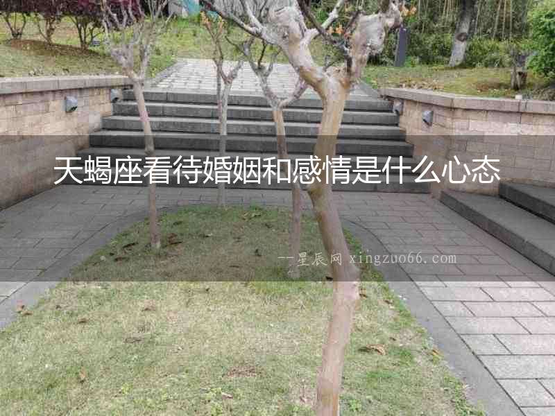 天蝎座看待婚姻和感情是什么心態