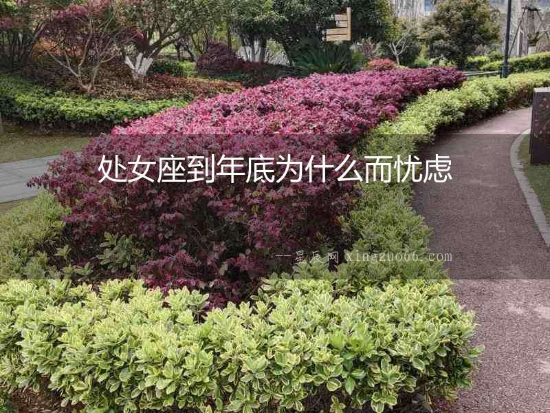 處女座到年底為什么而憂慮