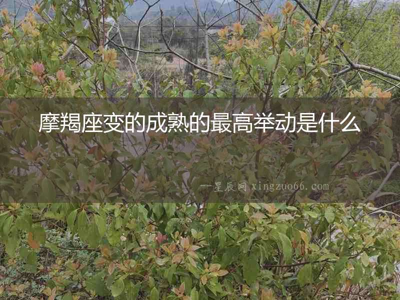 摩羯座變的成熟的最高舉動是什么