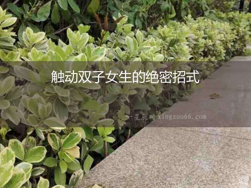 觸動(dòng)雙子女生的絕密招式