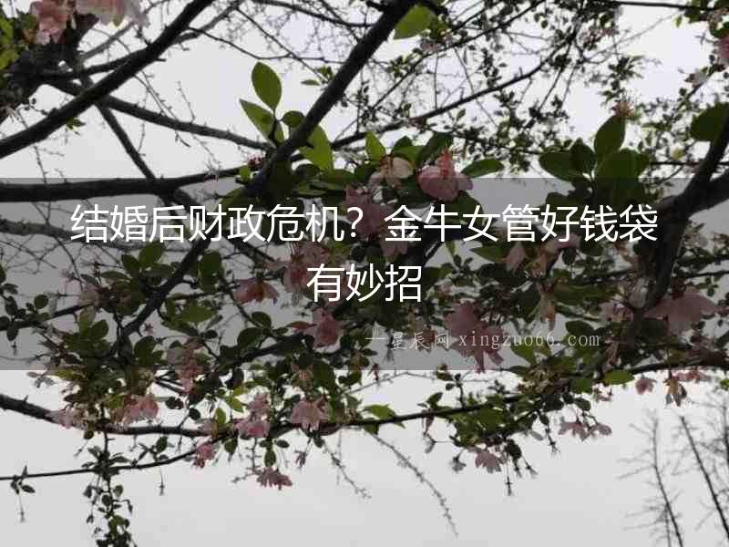 結婚后財政危機？金牛女管好錢袋有妙招