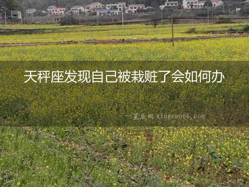 天秤座發(fā)現(xiàn)自己被栽贓了會(huì)如何辦
