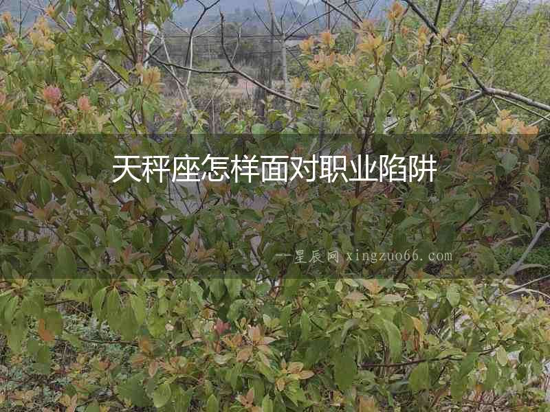 天秤座怎樣面對職業(yè)陷阱