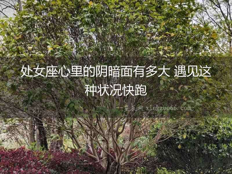 處女座心里的陰暗面有多大 遇見這種狀況快跑