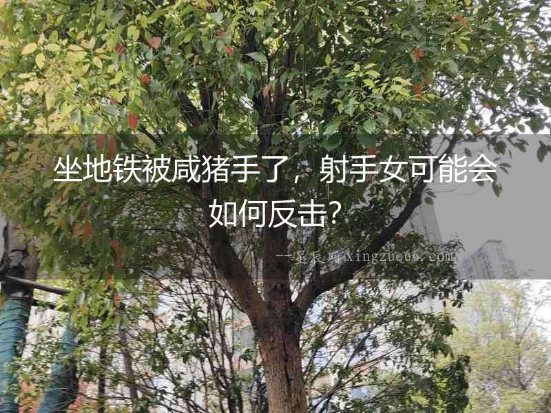 坐地鐵被咸豬手了，射手女可能會如何反擊？