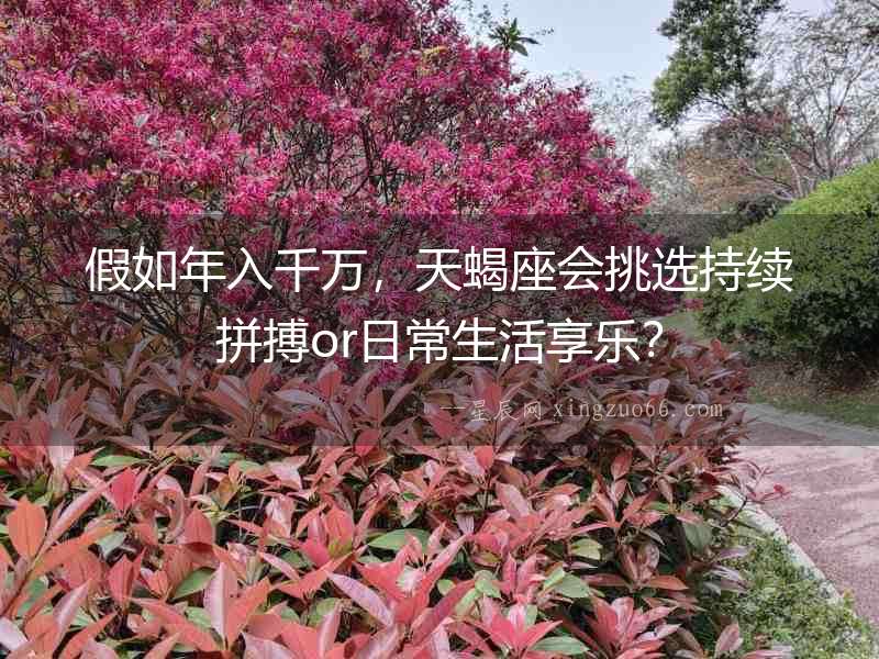 假如年入千萬，天蝎座會挑選持續(xù)拼搏or日常生活享樂？