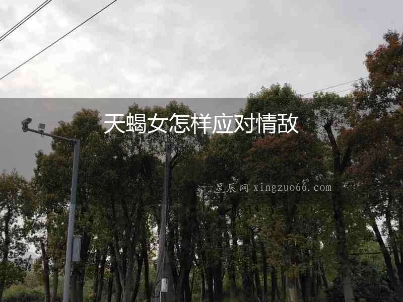 天蝎女怎樣應對情敵