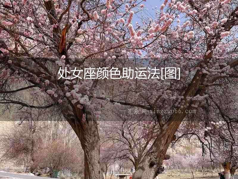 處女座顏色助運(yùn)法[圖]